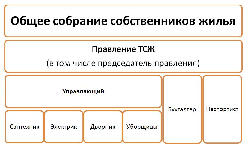 Организационная форма тсж. Схема органов управления ТСЖ. Структура управления ТСЖ (ТСН).. Организационная структура ТСЖ схема. Структура правления ТСЖ.